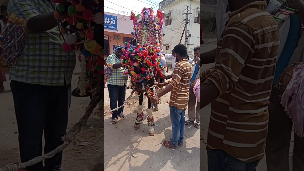 Annu dancing horse Nellore