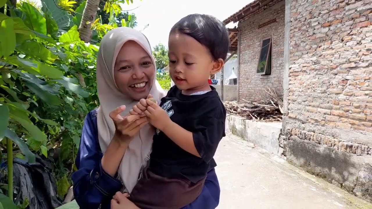 AMAZING !! WAJIB TONTON SAMPAI AKHIR #panen 