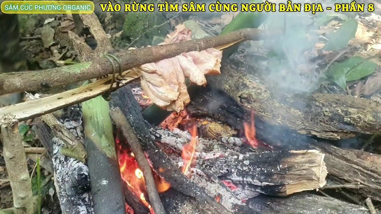 Một bữa cơm giữa rừng có gì  ??? 👨‍🦯🤔😬#HanhTrinhTimSam #SamCucPhuong