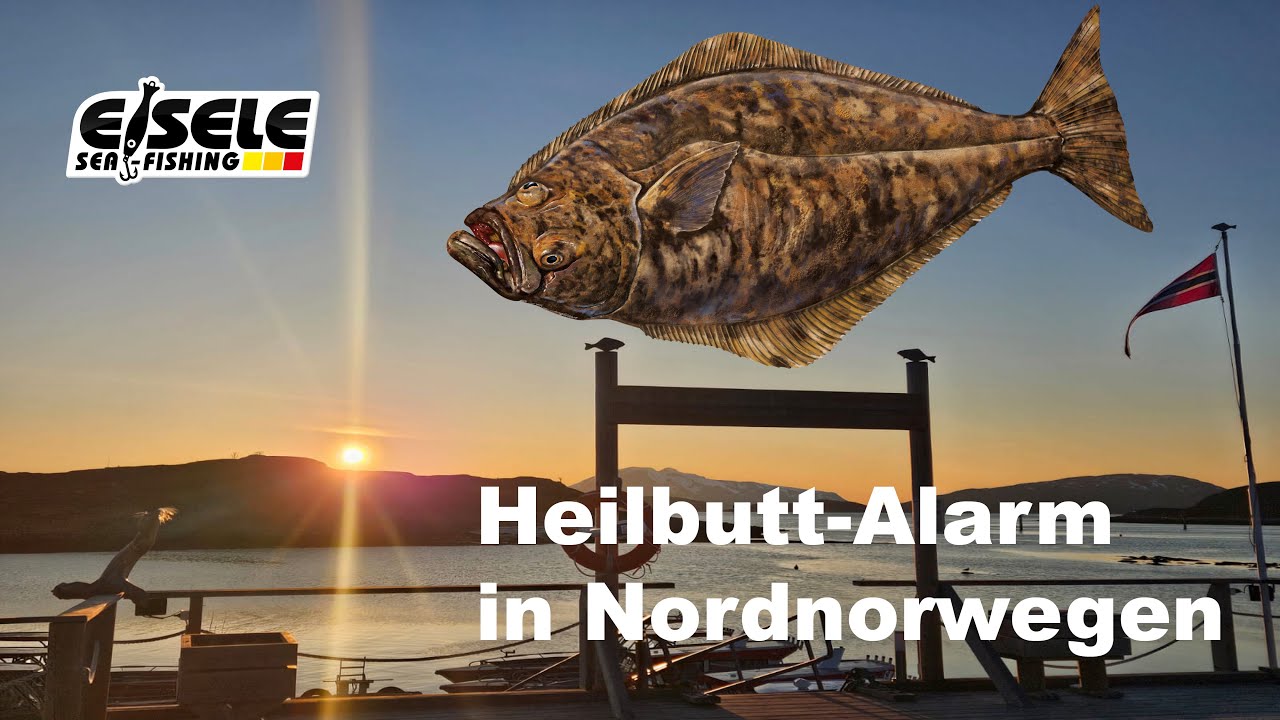 Eisele Sea-Fishing in Nordnorwegen / Mikkelvik Brygge 2024