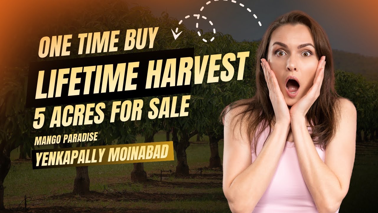 5 Acres Mango Farm for Sale in Yenakapally, Moinabad | Premium Agriculture Land 🌴