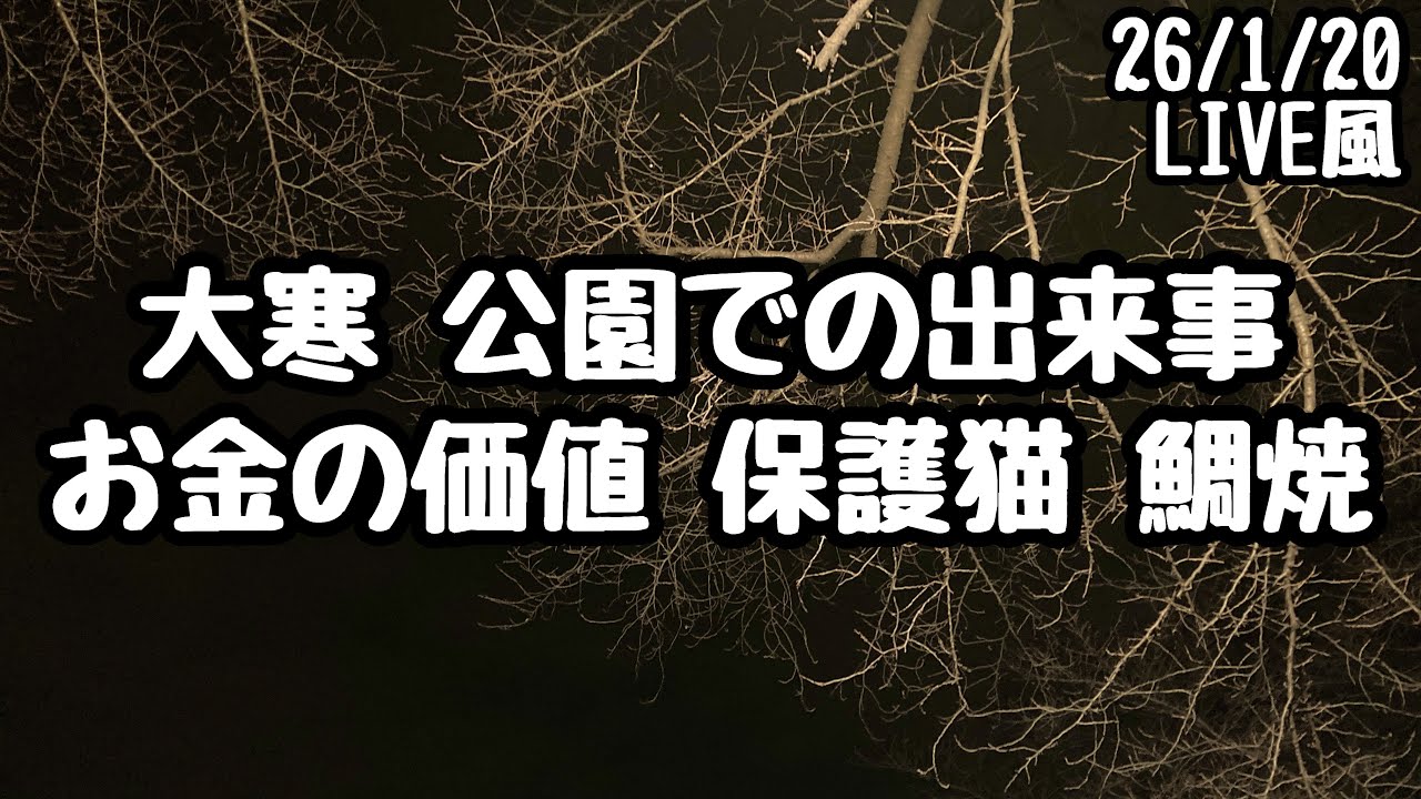 大寒 公園での出来事 にゃんこたいやき お金の価値 保護猫 イヤホン お好み焼きなど 50代 アラカン 爺 自律神経失調症 パニック症の雑談