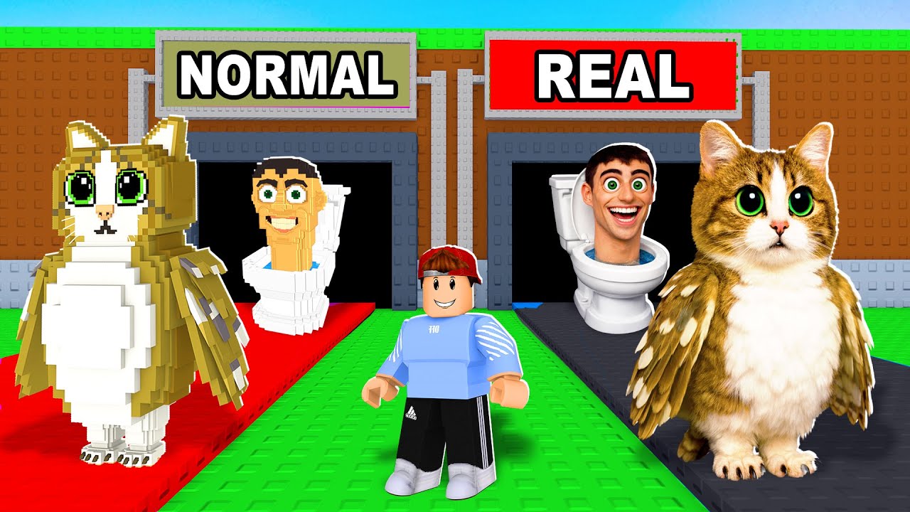 REALISTISCHE BRAINROTS vs NORMALE in Steal a Brainrot!