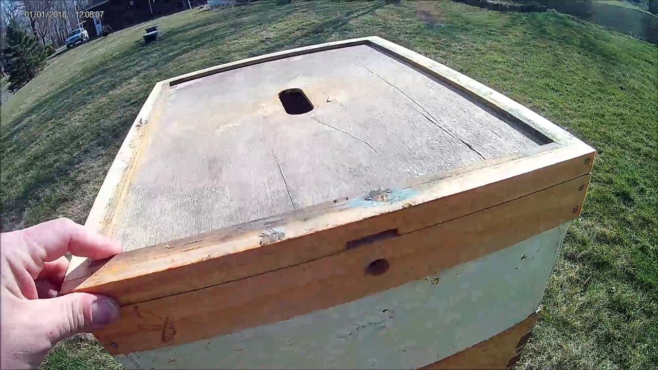 Checking and Adding MegaBee Pollen Patties to Hives in OHIO