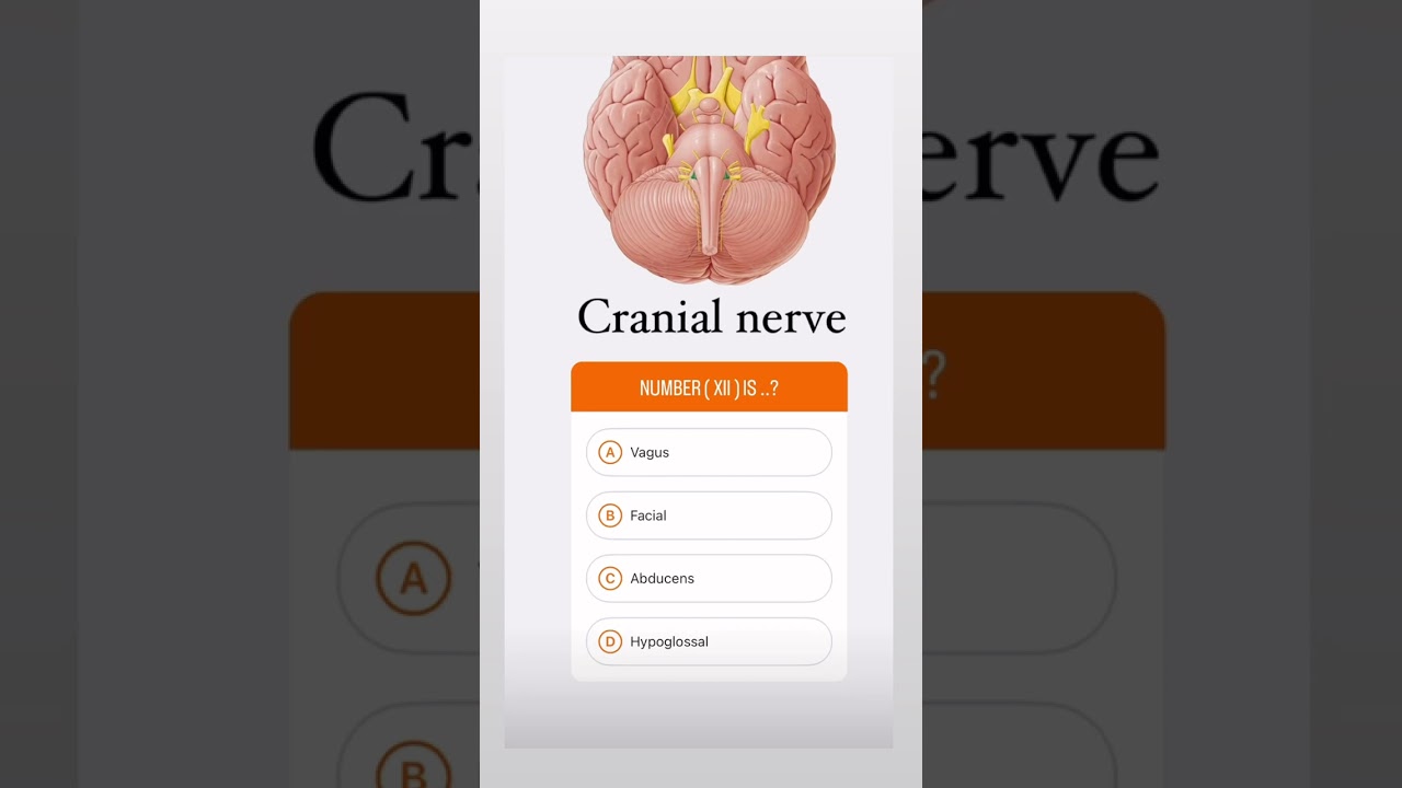 #neetmds #neetmdspreparation #easydentalnotes #anatomy #dentalnotes #dentalstudents #dentist