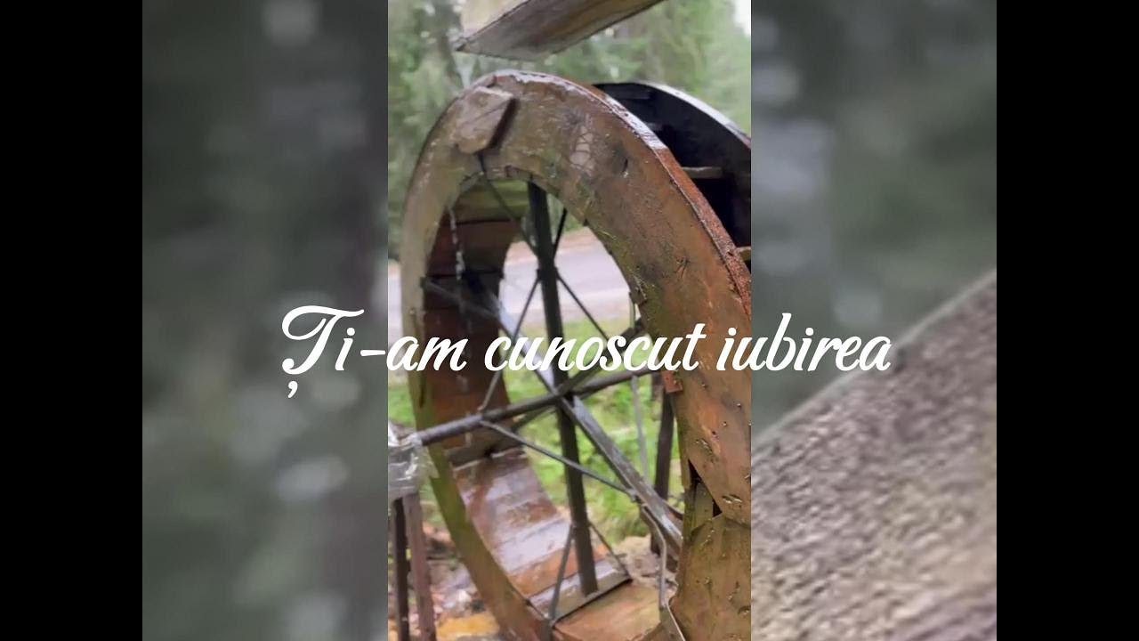 Ti-am cunoscut iubirea- Ligia Crisan