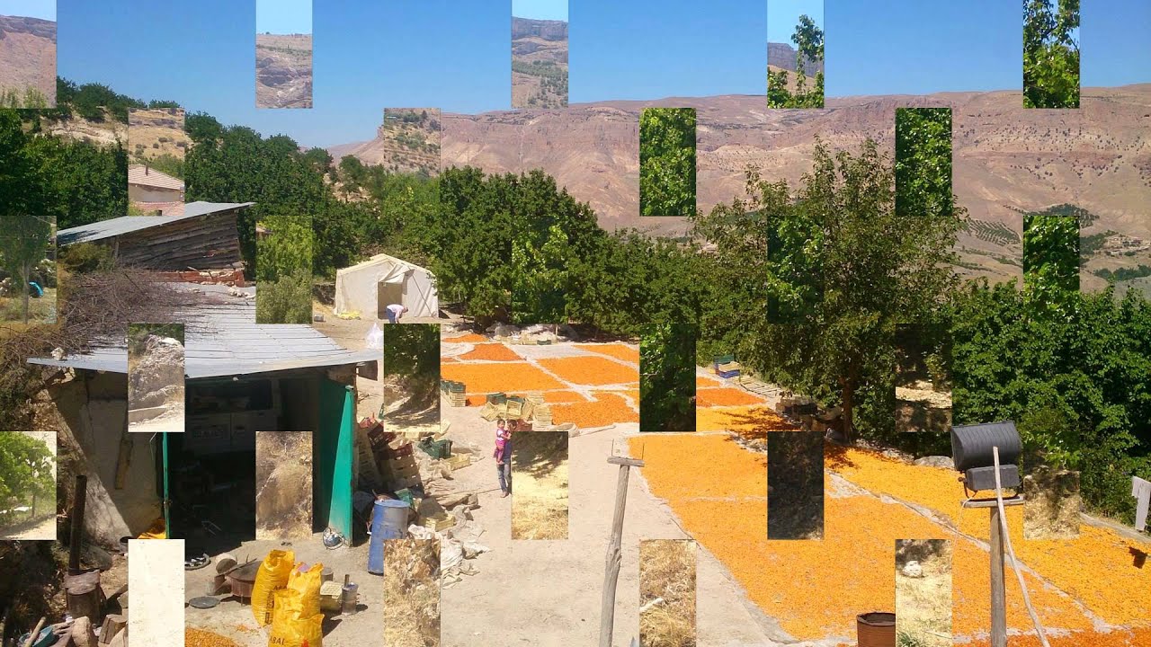 Çatalbahce Köyü