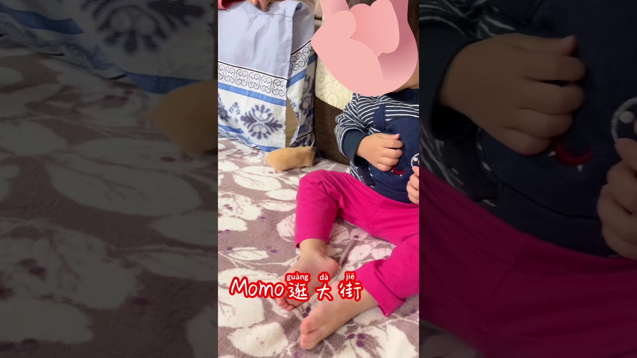 黃金鼠 放風逛大街