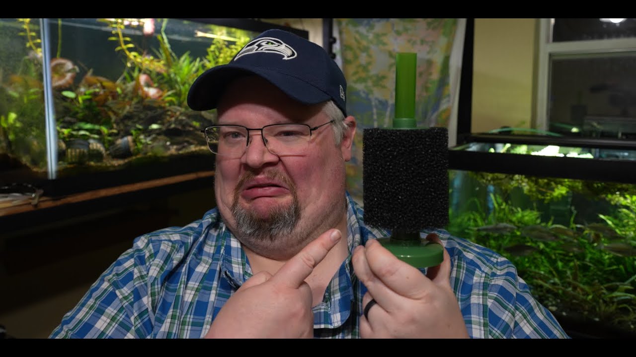Your Sponge Filter Sucks