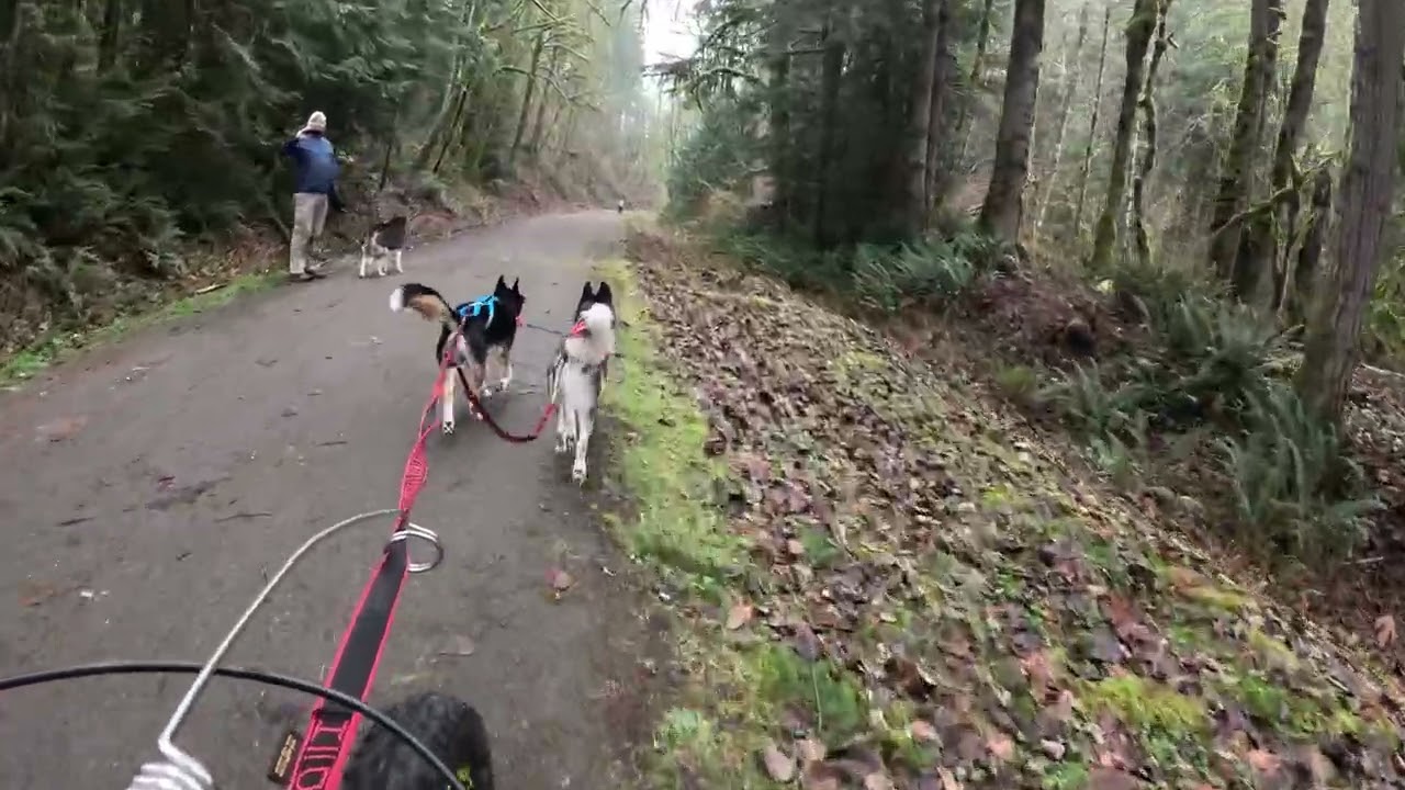 1st Bikejor of 2026!