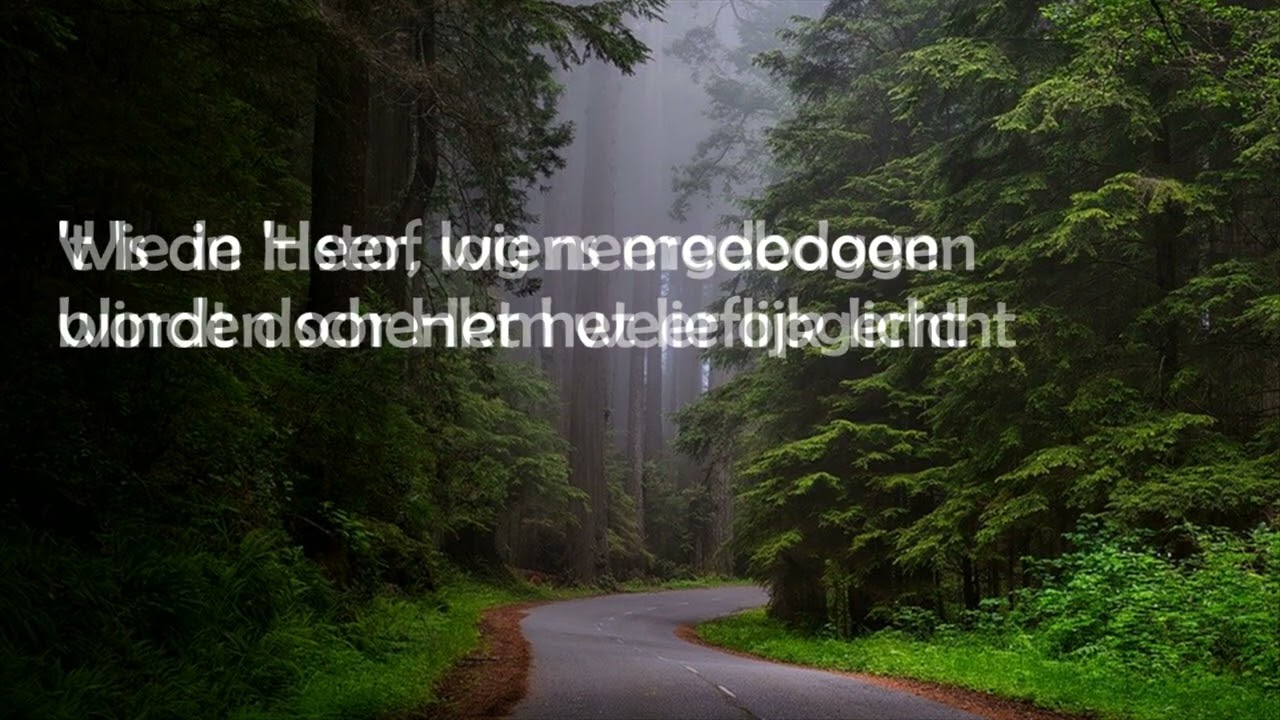 Opwekking met tekst 221 Prijs de Heer met blijde galmen (versie 2)