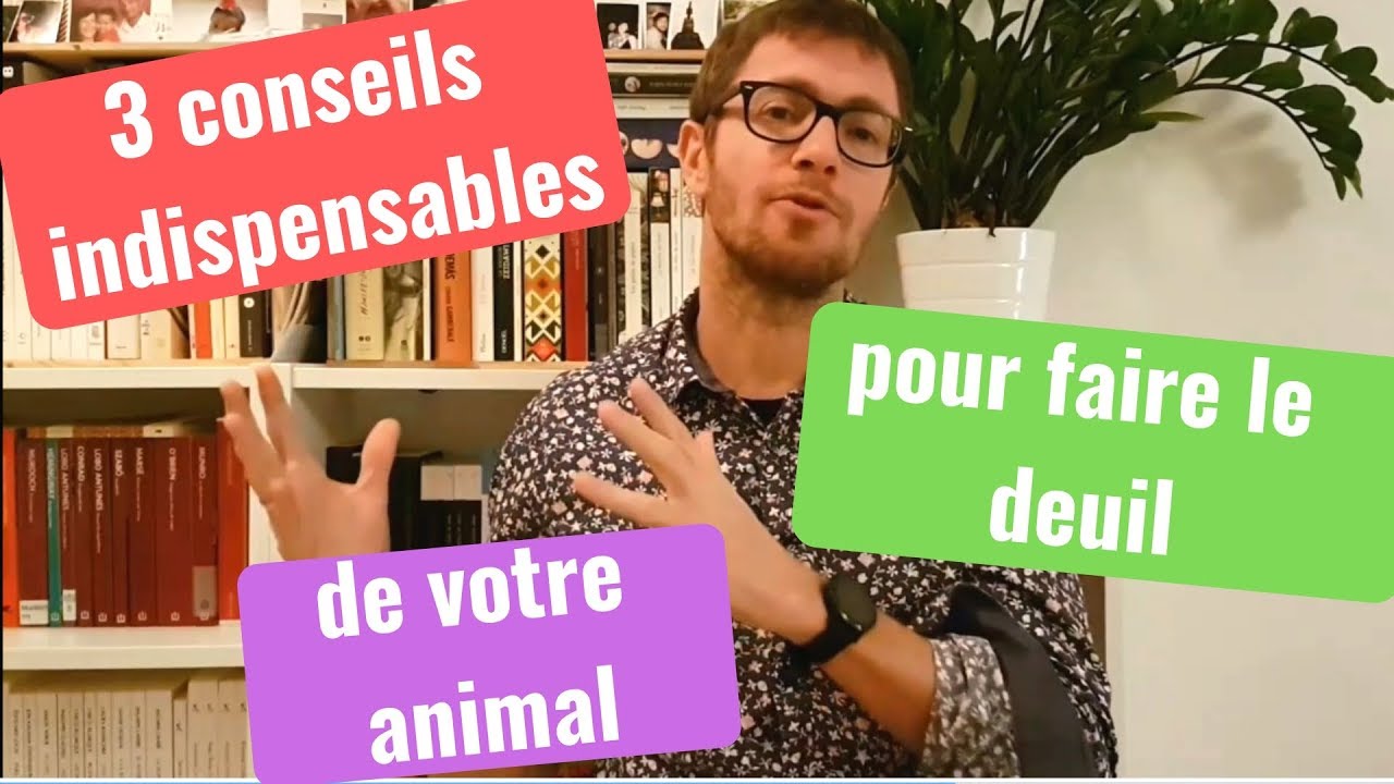3 CONSEILS INDISPENSABLES POUR FAIRE LE DEUIL DE VOTRE ANIMAL