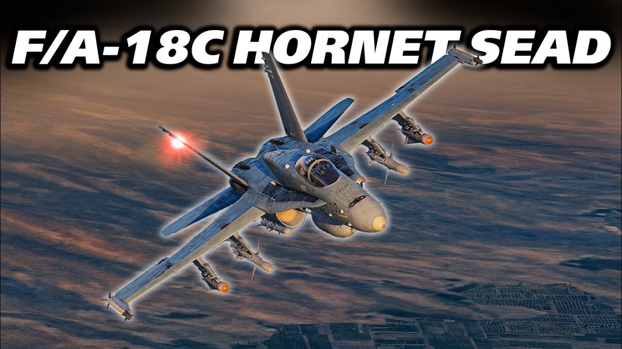 I FLEW an F18C Against an S300 in Digital Combat Simulator | Do I survive?