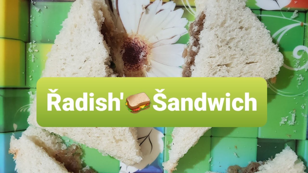 Řadish🥪&Scaron;andwich
