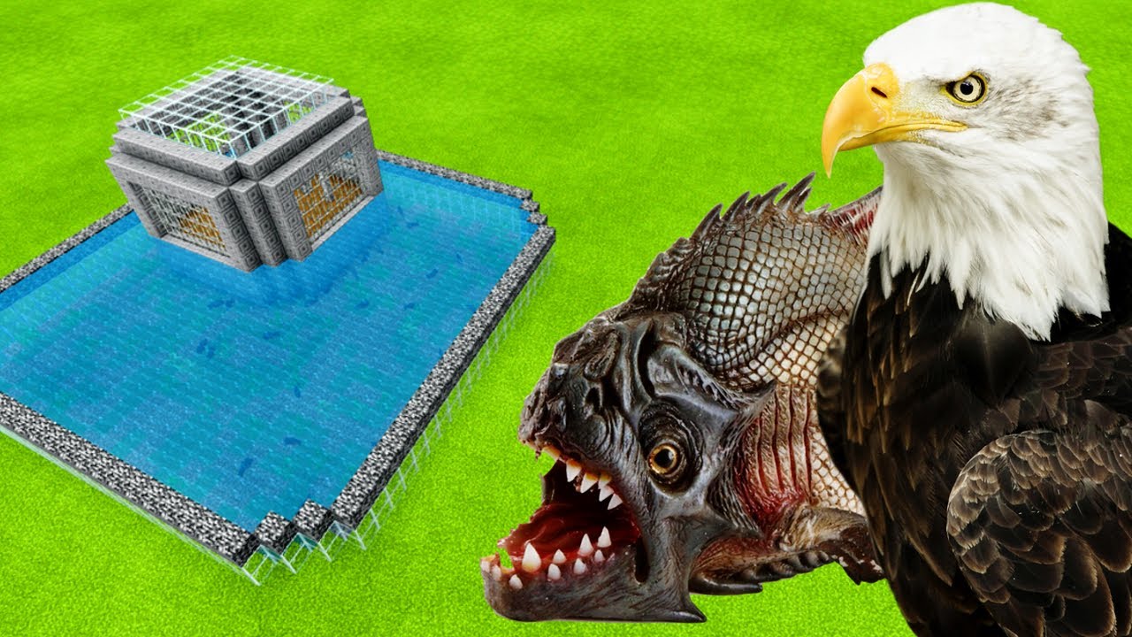 MCPE: How To Make an Eagle & Piranha Farm