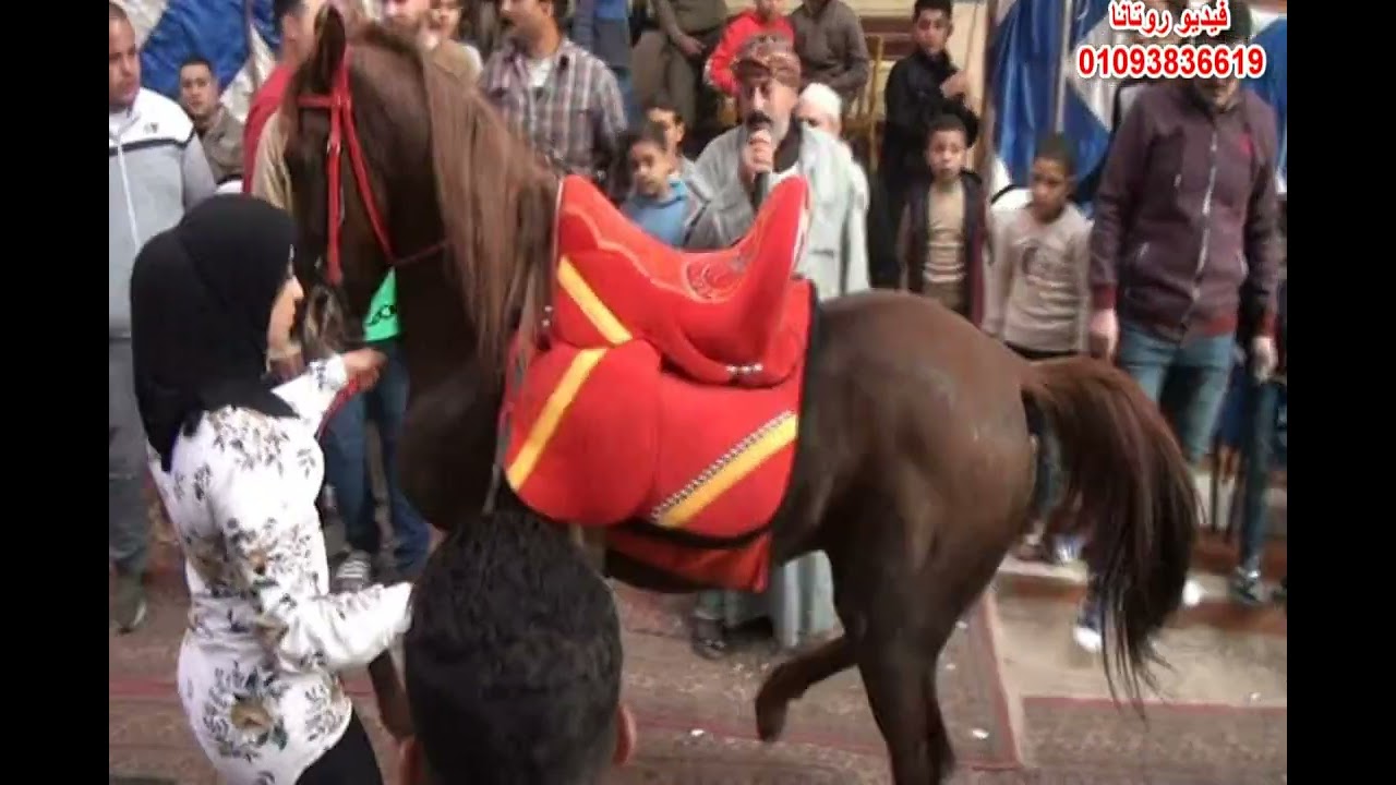 مستر كهربا والنجمه عبير مع اجمل العروض ٠١٠٩٨٠١٠٧٠٦