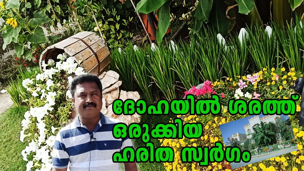 Amazing garden in Qatar  I DIY Gardening I DIY Garden Pots I  DIY Gardening ideas