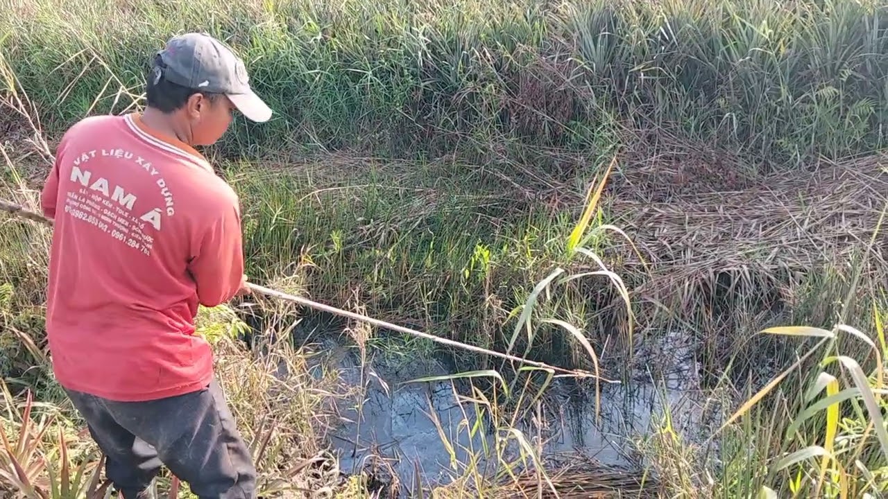 hai vợ chồng đi thăm lờ kiếm cá ăn 