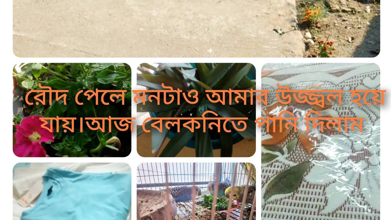 অনেক দিন পর কিছু কেনাকাটা করেছি।