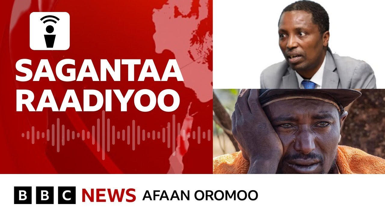 Obbo Taayyee Danda'aarratti himanni haaraa sadii banamuu | BBC News Afaan Oromoo