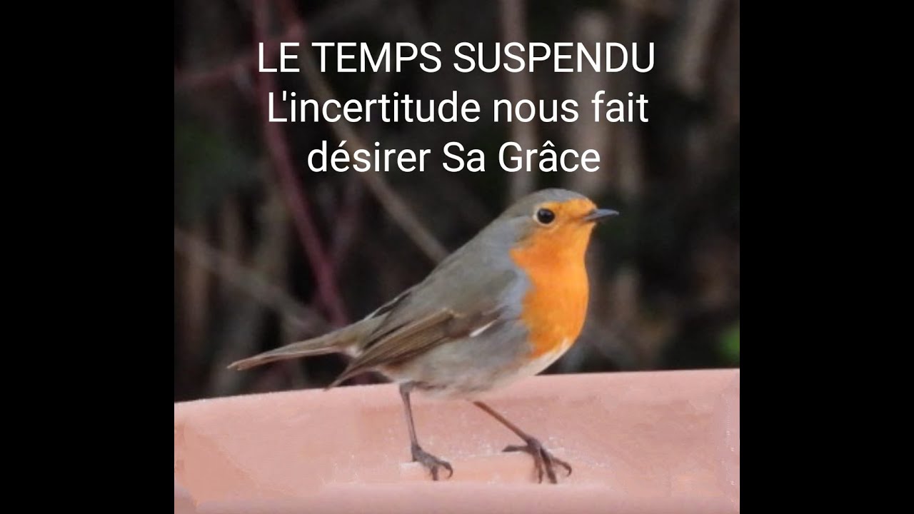 En ce Temps suspendu...l'incertitude nous fait désirer Sa GRÂCE...