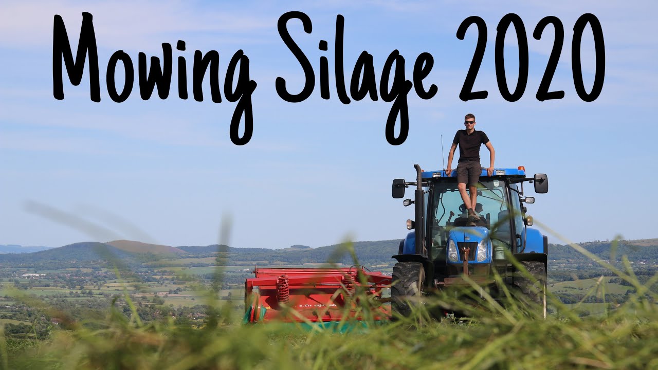 MOWING FOR SILAGE 2020 - New Holland T6080
