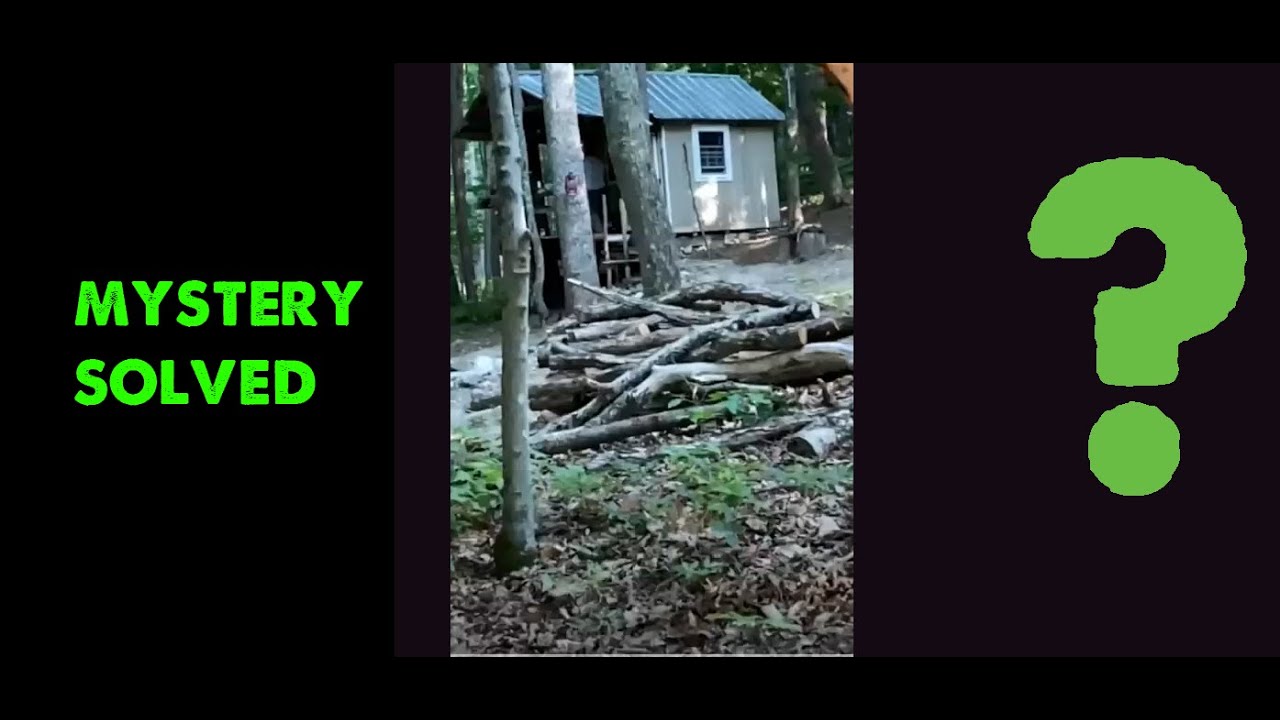 Snarling Bigfoot, Big Cat or Something Else  (TWP Case #11)