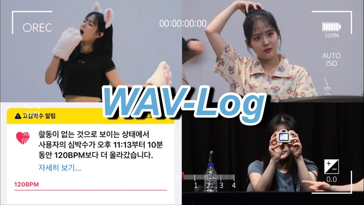 [WAV-Log] 웨이브로그 #2 한달요약인지 팬싸후기인지..