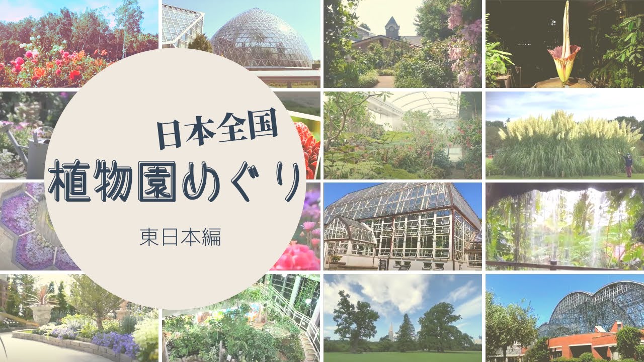 【ほっこり】植物園オンラインツアー「東日本編」#日本全国植物園めぐり #旅