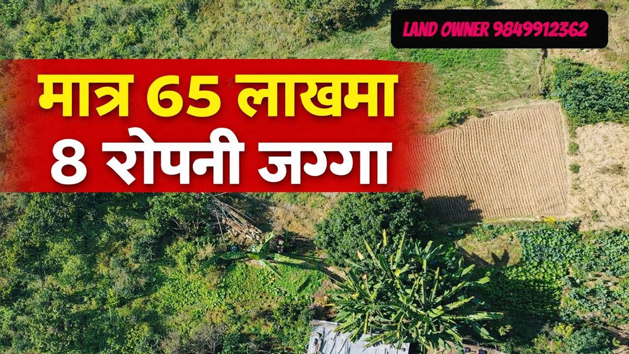 ६५ लाख मा ८ रोपनी जग्गा |  Sampatti Sewa | Ghar Jagga Kathmandu | Adhikari Real Estate #Cheap_Land