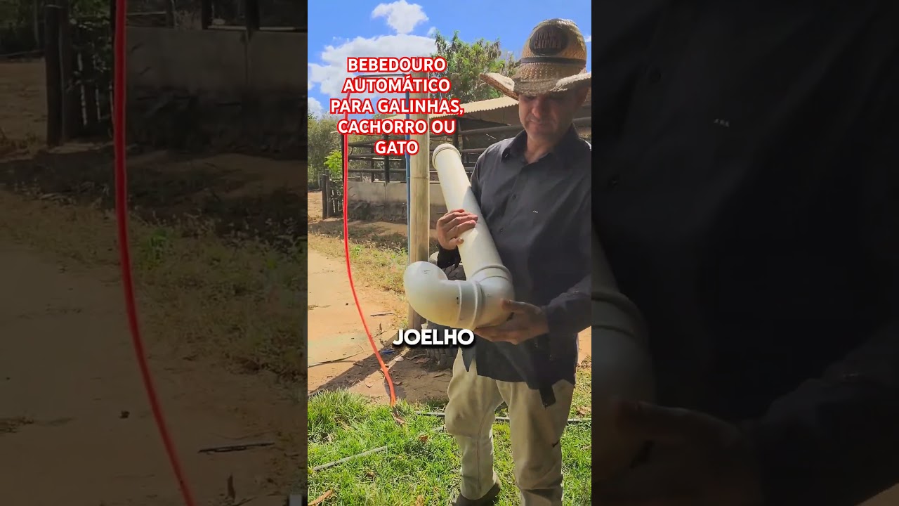 BEBEDOURO AUTOM&Aacute;TICO PARA GALINHAS, CACHORROS OU GATO. VEJA COMO FAZER. #robertoluna #vidanaro&ccedil;a