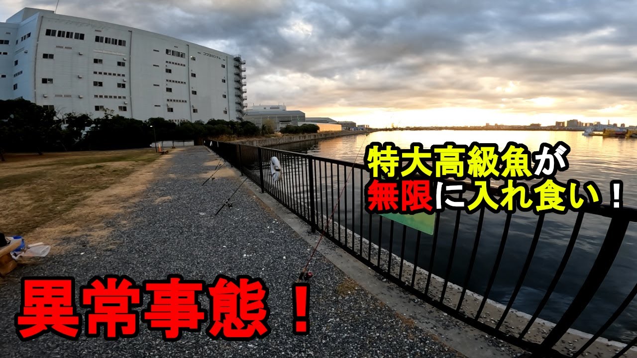 【東京都某所】冬の東京湾で異常事態発生！？年明けの正月休みの三が日に、都内にある東京湾に面した釣り場で釣りをしていたら、開始直後から特大高級魚が無限に入れ食いになって…！【2025年1月2日】