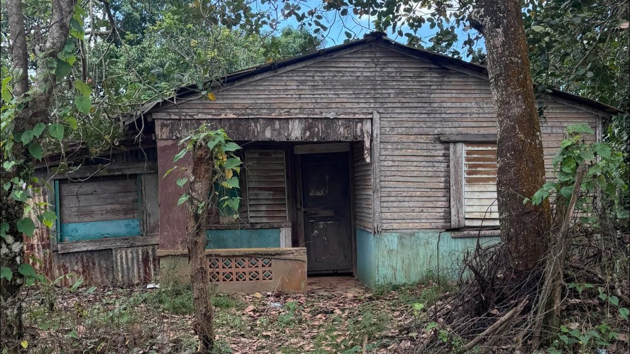 Que linda está la casa 🏠 