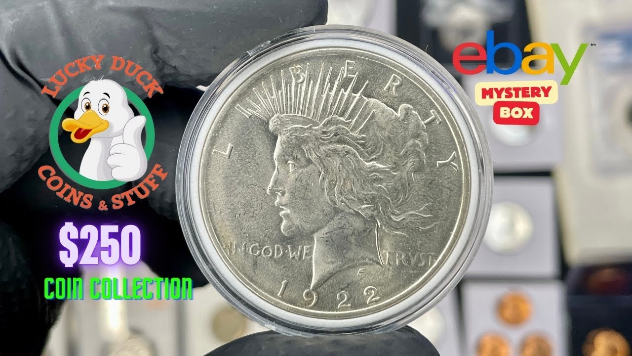 $250 Lucky Duck eBay Mystery Coin Collection Unboxing #subscribe