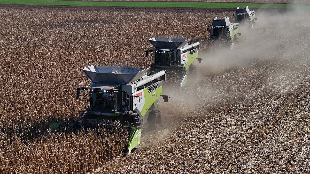 7 CLAAS kombájnnal a biztos betakarításért!