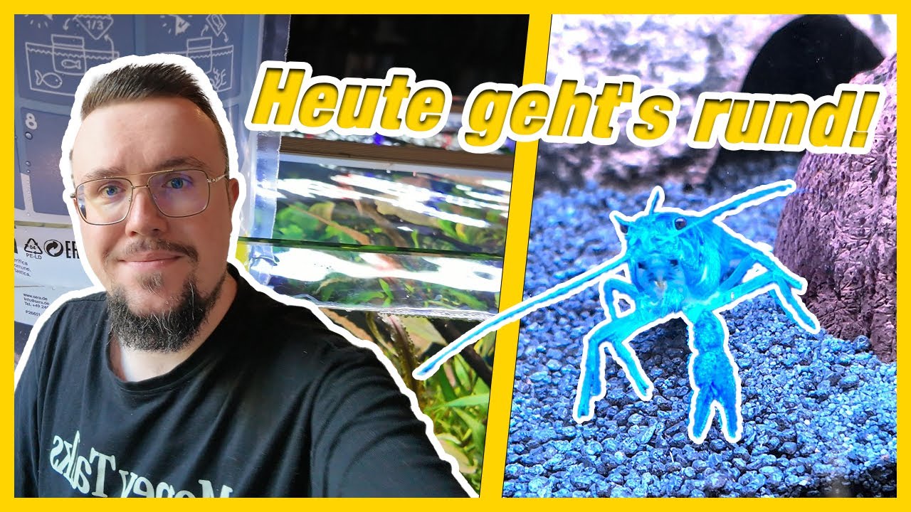 Einen Tag bei ShrimpPuddle dabei sein | Ein voller Aquaristik-Tag