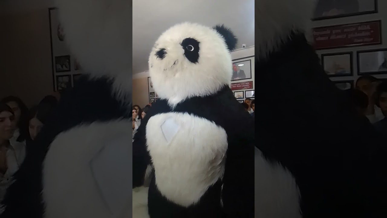 Kəlbəcər rayon 37 nömrəli məktəb.1 iyun tədbiri