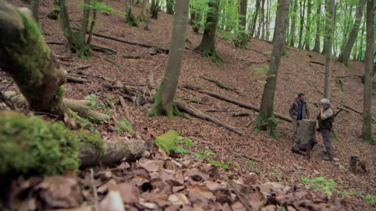 Пограничные впечатления в Клеттгау -- SRF bi de Lüt - Wunderland from 16 May 2014
