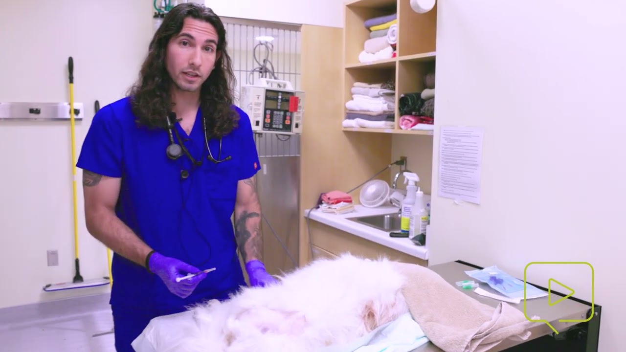How to Place Intraosseous Catheters