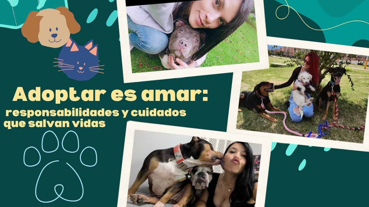 Adoptar es amar: responsabilidades y cuidados que salvan vidas