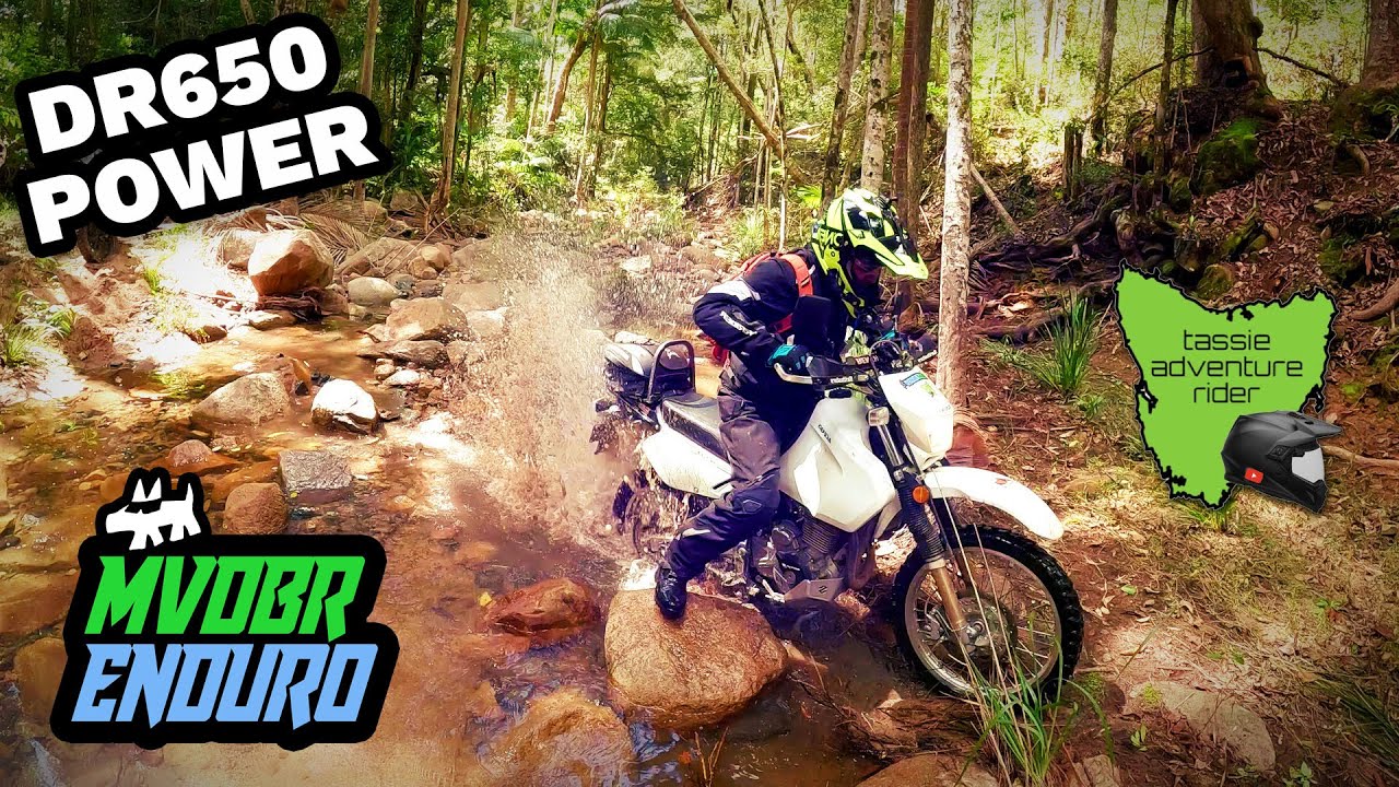 DR650: A Queensland Ride With The Tassie Adventure Rider - MVDBR Enduro #235