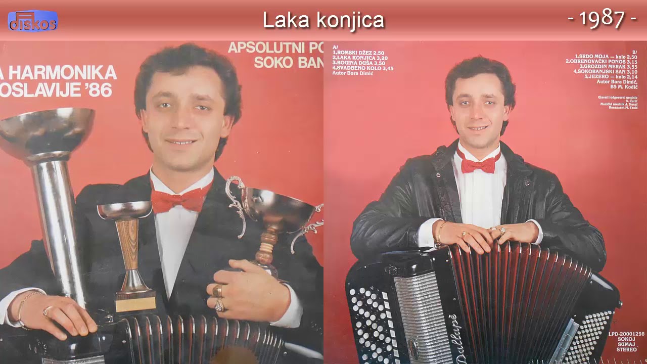 Bora Dimic Dida - Laka konjica - (Audio 1987)