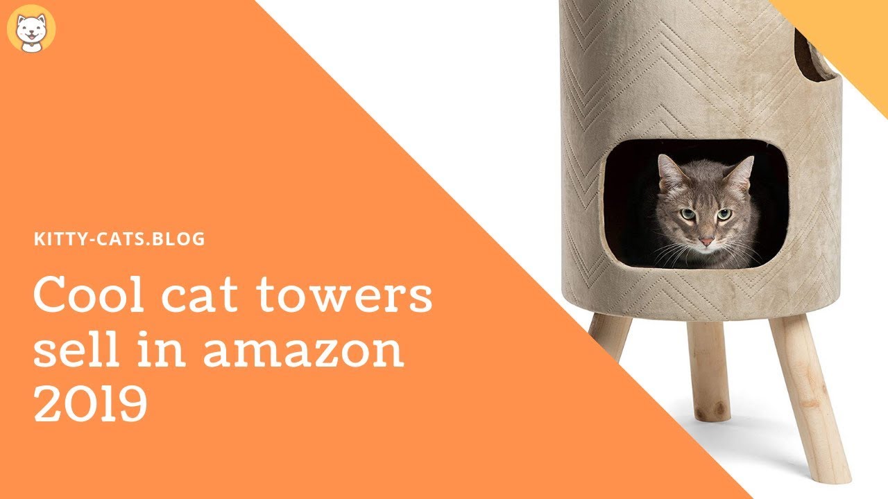 high quality wooden cat tree - the cat mod - modular climbing systems