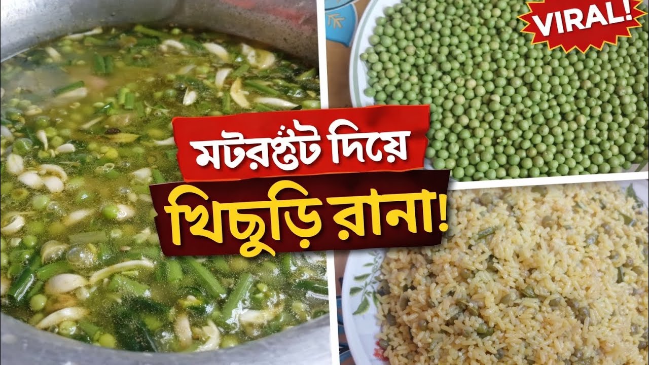 👉 শীতের সেরা মটরশুঁটির খিচুড়ি রেসিপি | একবার বানালে বারবার খাবেন