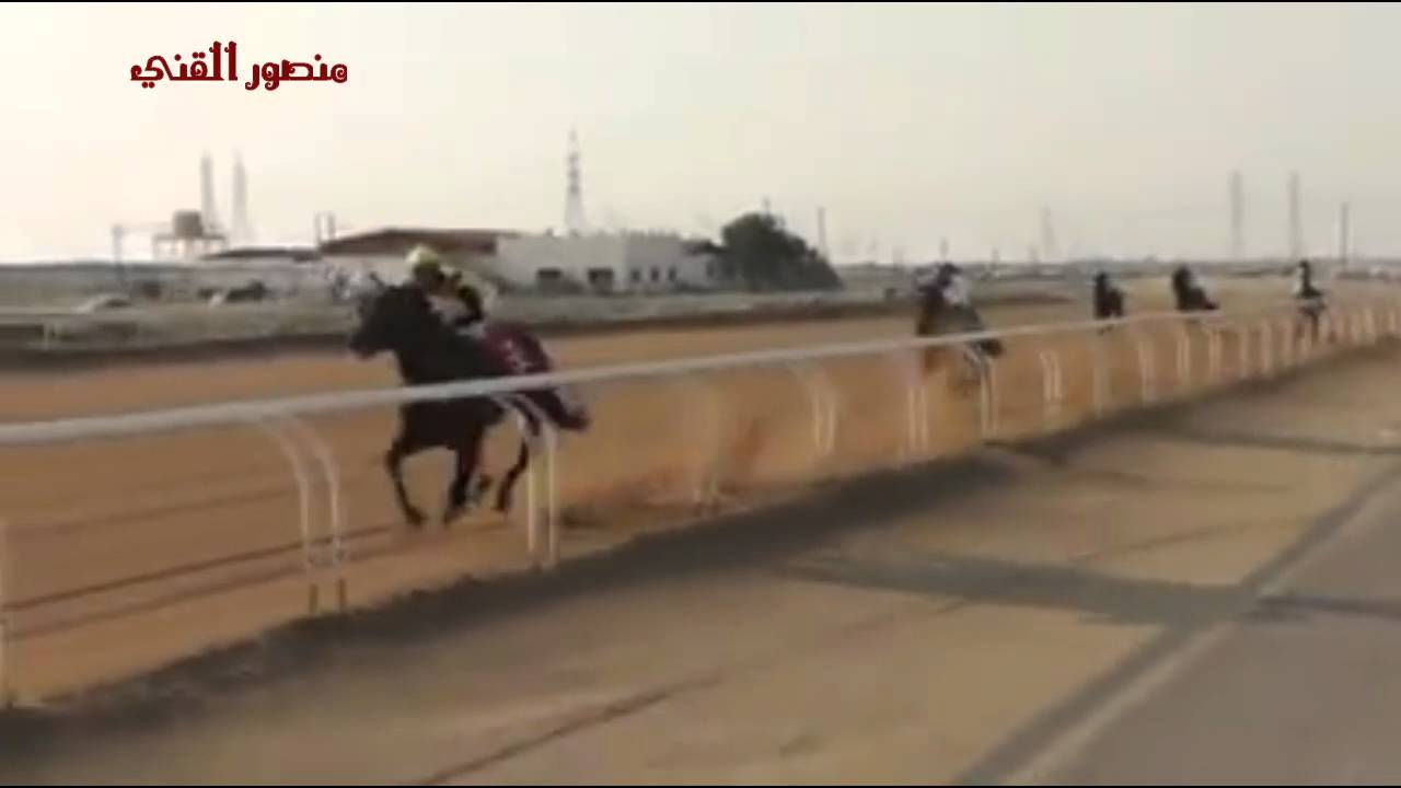 الأجتماع الرابع فروسية الفروانيه 2015 2016 الشوط الأول  درع عباد أسطبل الفرماوي