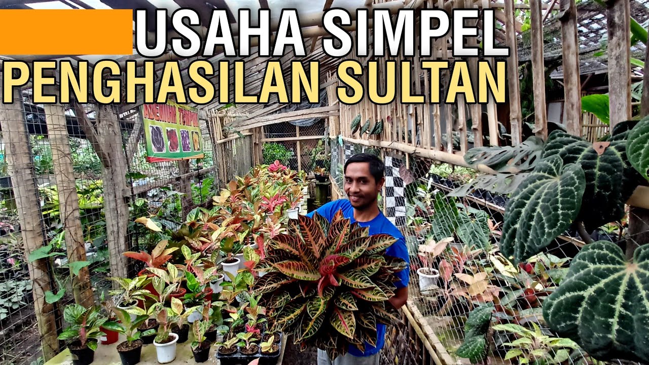 TIPS USAHA!! MEMANFAATKAN HOBI JADI REJEKI