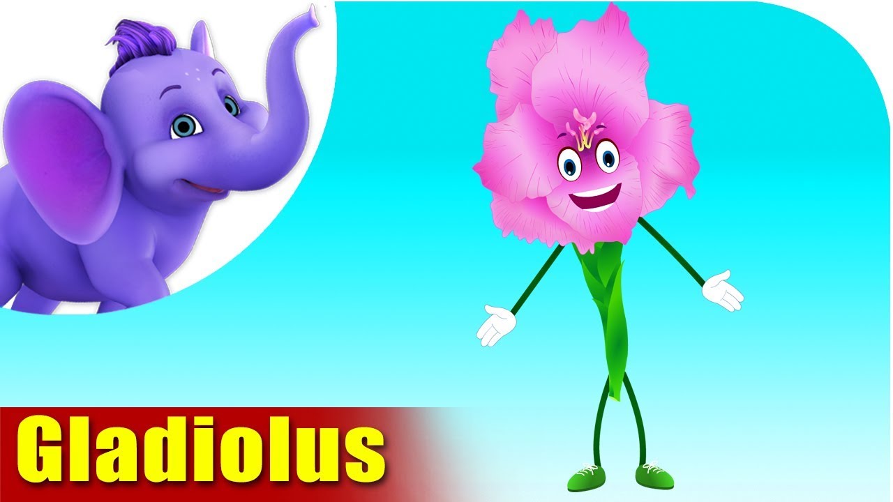 Gladiolus | Flower Song | 4K | Appu Series