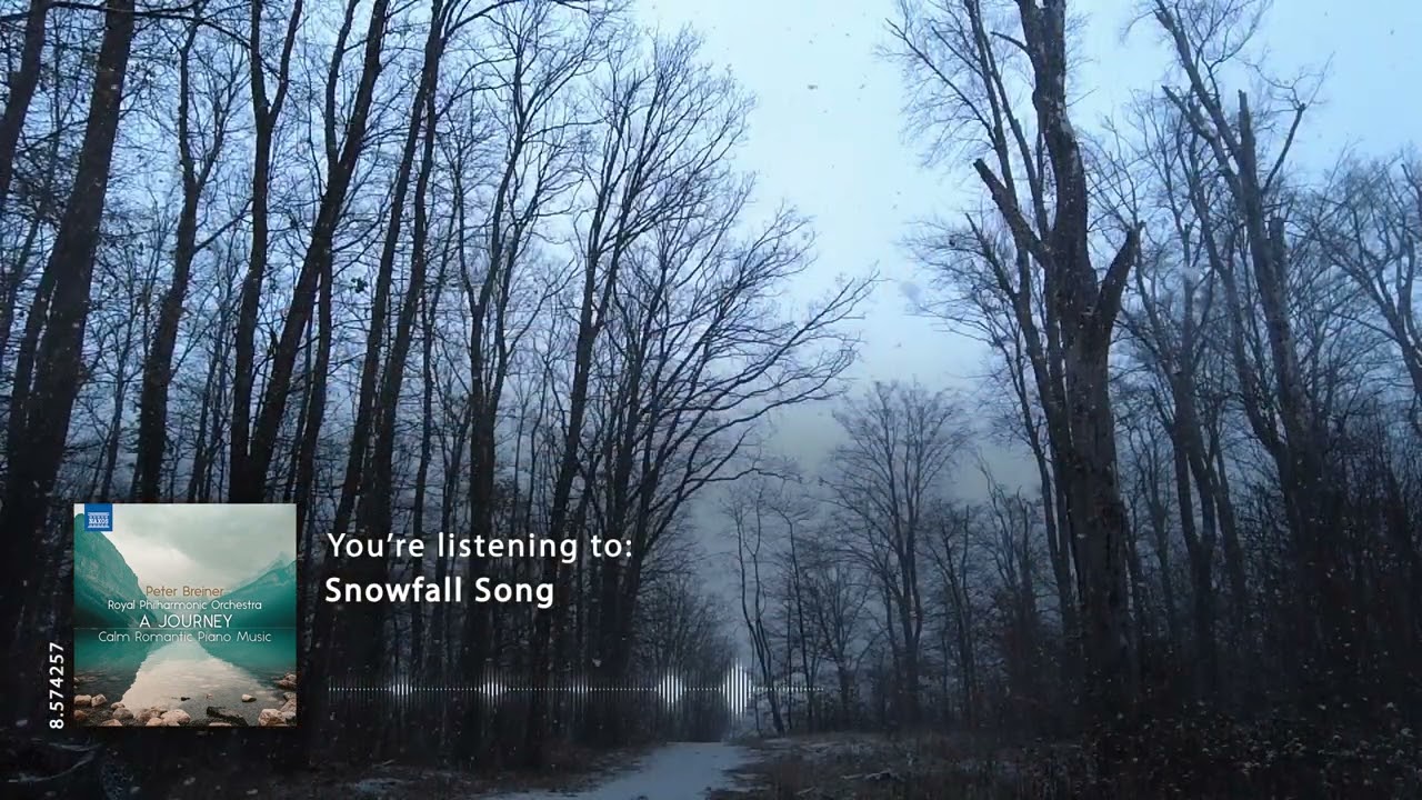Peter Breiner: Snowfall Song (music video)