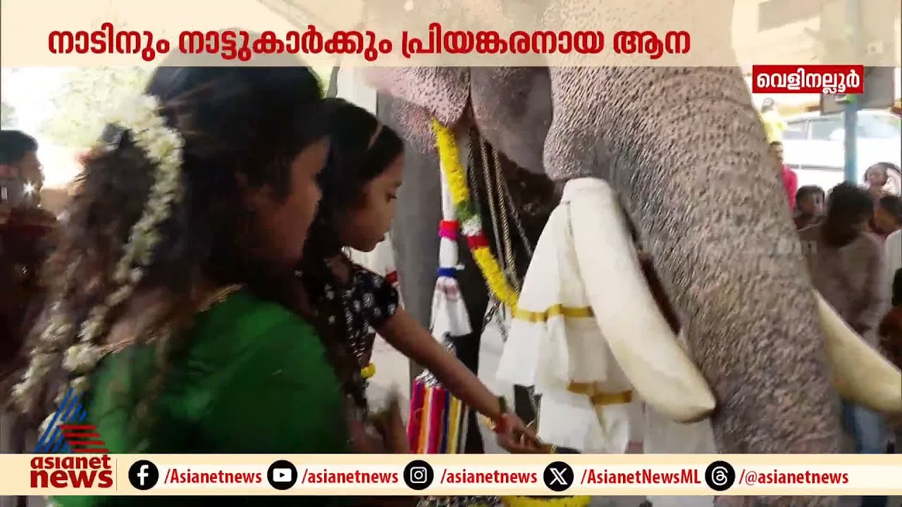 വെളിനെല്ലൂർ മണികണ്ഠന്റെ പിറന്നാൾ ആഘോഷമാക്കി കൊല്ലത്തുകാർ | Kollam | Velinalloor manikandan