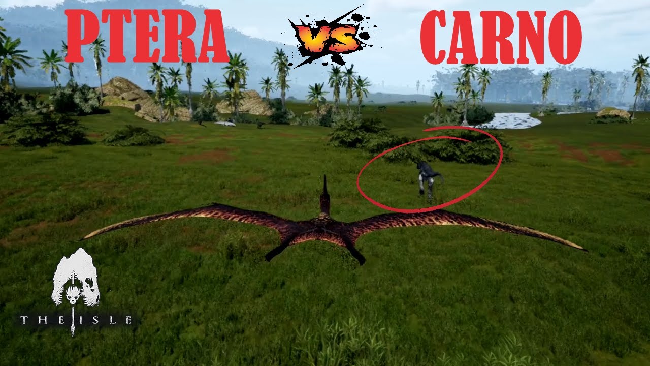 1V1 PTERANODON vs CARNOTAUSORUS (With assist) -The Isle EVRIMA